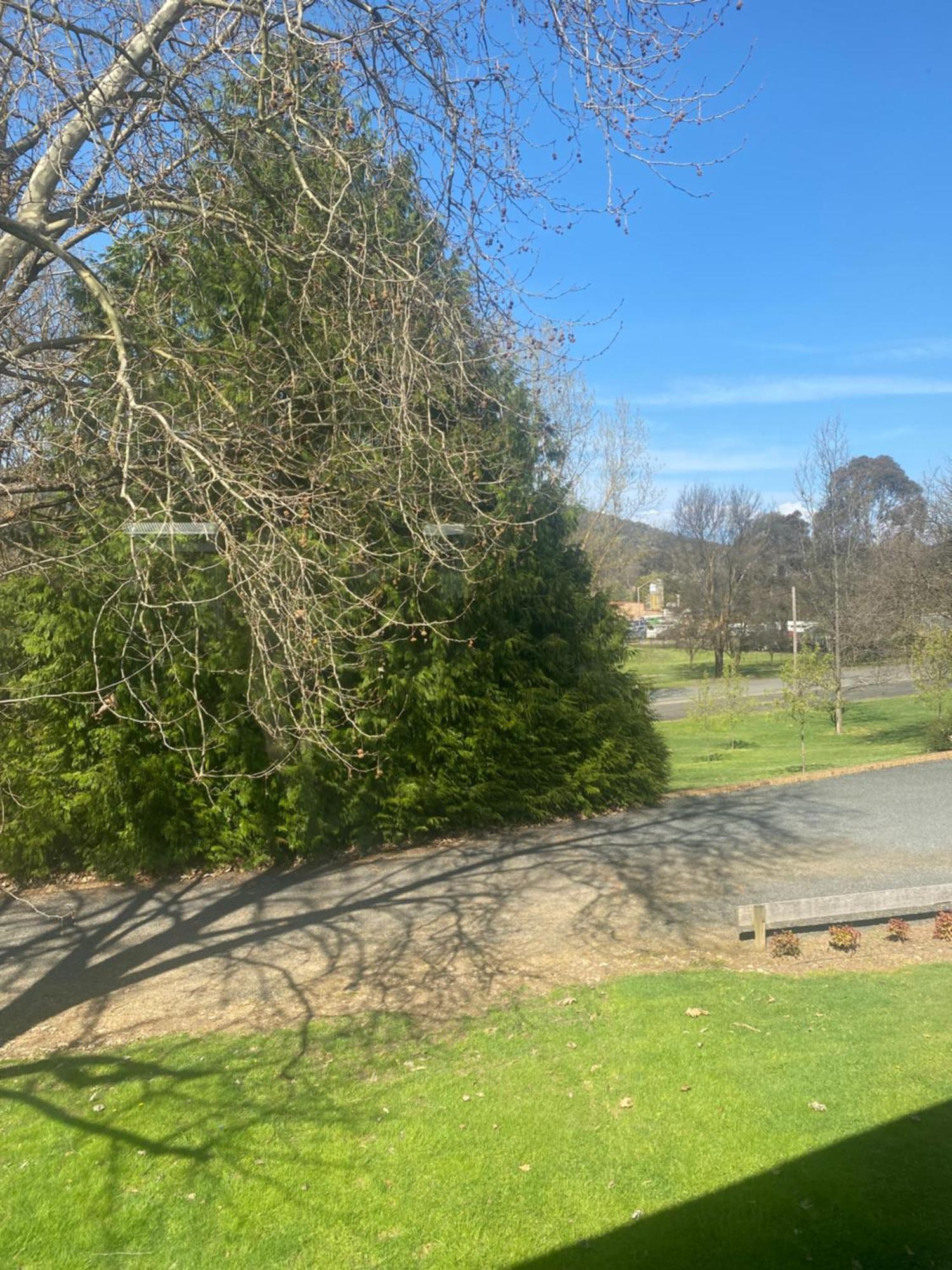 Tumbarumba Motel & Elms Restaurant Buitenkant foto